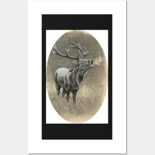 Red Deer Posters and Art